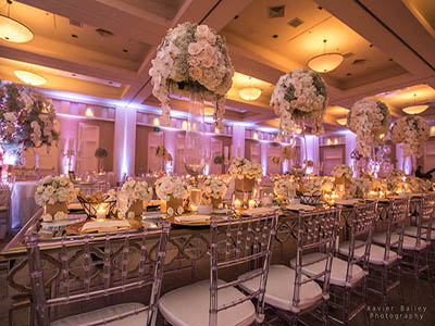 wedding chair rentals fort lauderdale